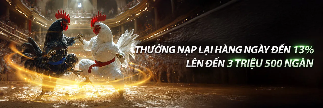 Đá Gà Trực Tiếp 12/12 CPC3 tại F88Bet